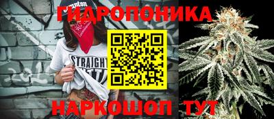 a pvp Кулебаки