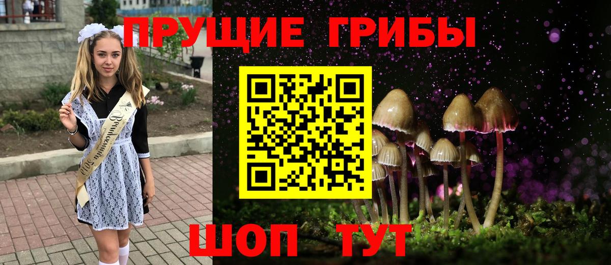 Галлюциногенные грибы Psilocybe Тавда