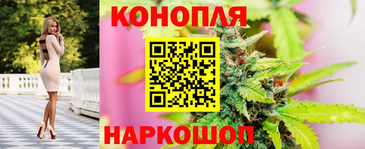 Конопля конопля Тавда